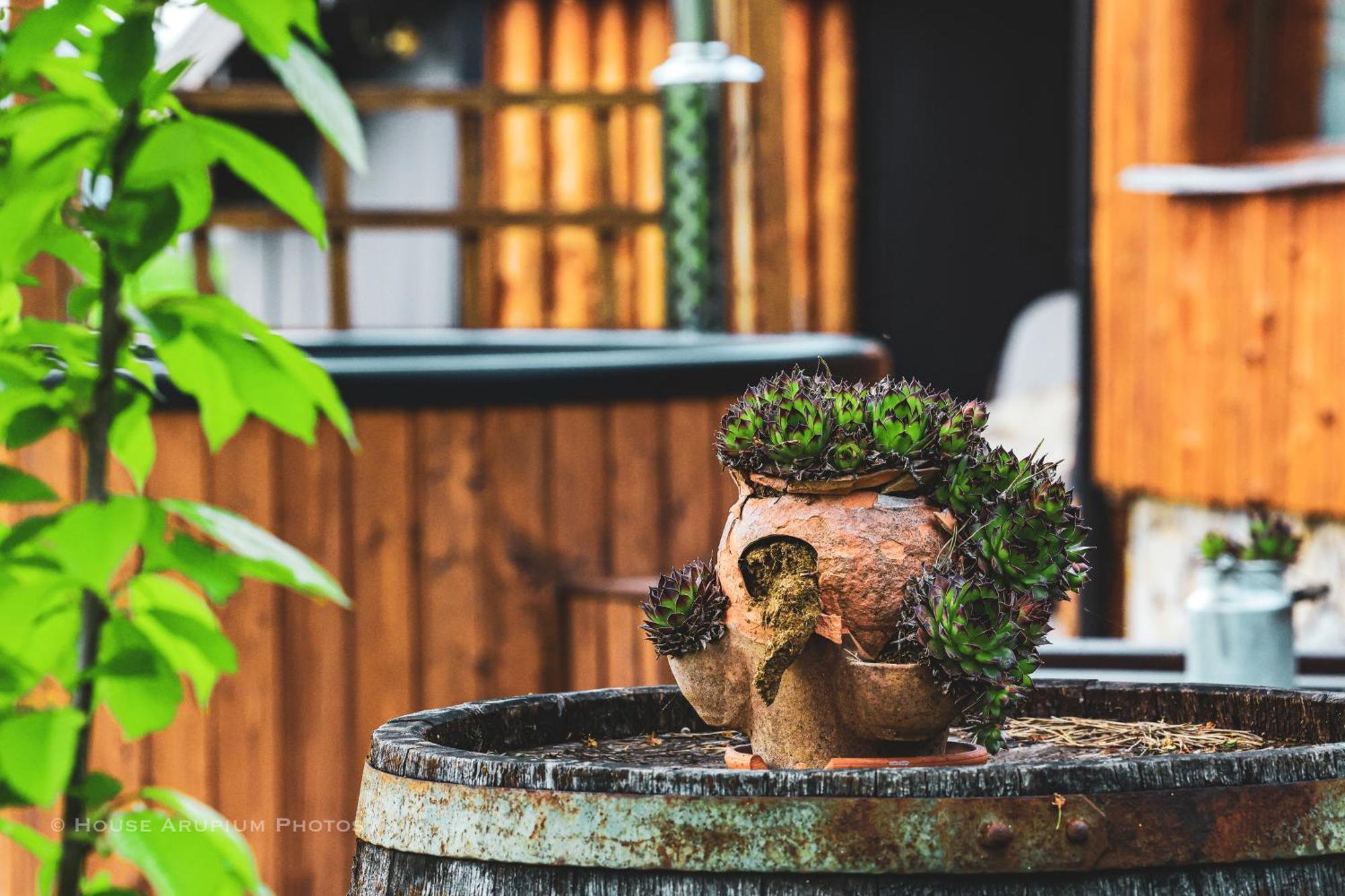 House Arupium - Hot Tub Villa Otočac Dış mekan fotoğraf